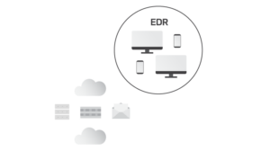 Endpoint Detection and Response 